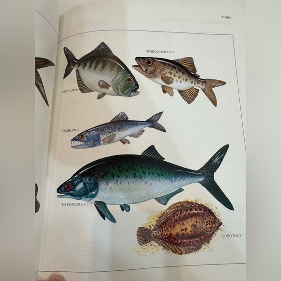 Macmillan Illustrated Encyclopedia of Dinosaurs Children’s Book - Picture 8 of 10